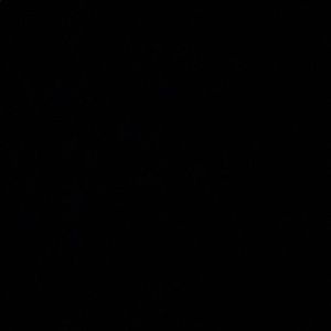 Meet your Posher, Mckenna